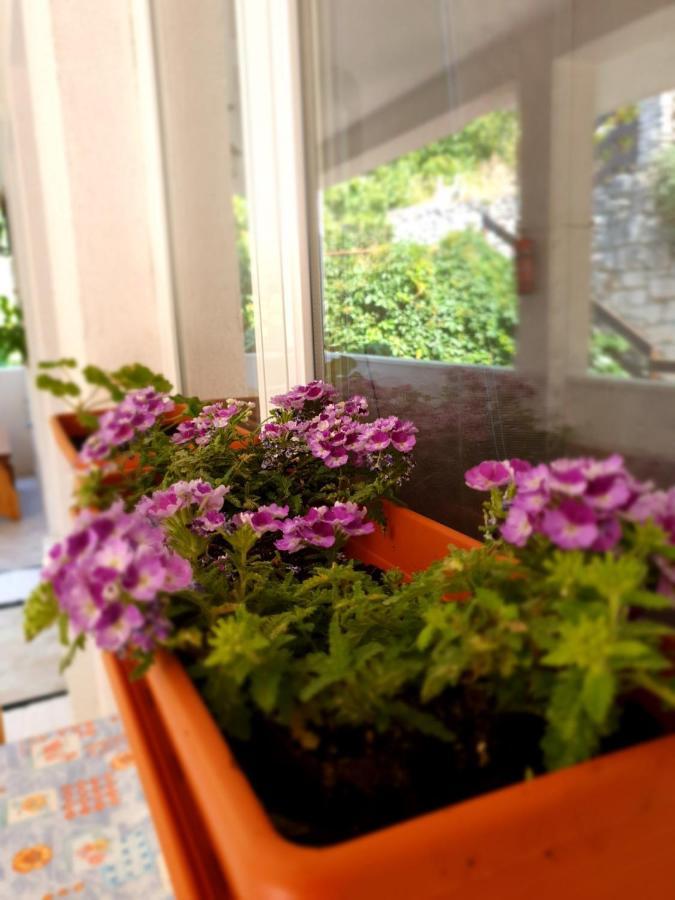 קורצולה Apartments Adriatic מראה חיצוני תמונה